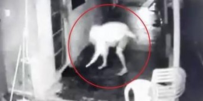 Homem incendiou cabaré em Corumbiara; veja o vídeo