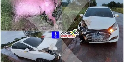 Motorista bateu em cavalo solto na pista na RO 010 nesta segunda-feira