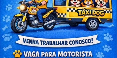 Clínica veterinária anjos de patas está contratando