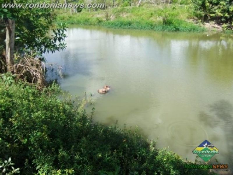 ALTO ALEGRE – ALTO ALEGRE – Morte por afogamento de Pacabá (IMAGENS FORTES) ALTO ALEGRE – ALTO ALEGRE – Morte por afogamento de Pacabá (IMAGENS FORTES)