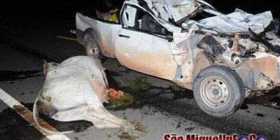 São Miguel - Animal na pista causa grave acidente na BR-429