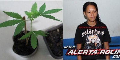 Rolim de Moura – Após briga, mulher é detida pela PM com plantas de maconha Rolim de Moura – Após briga, mulher é detida pela PM com plantas de maconha