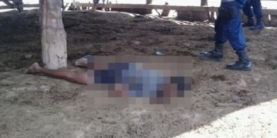 Buritis - Vaca pisoteia e mata homem na zona rural Buritis - Vaca pisoteia e mata homem na zona rural