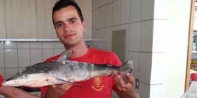 Paraná - Bombeiro lamenta atender acidente e encontrar colega morto: “Dor insuportável” Paraná - Bombeiro lamenta atender acidente e encontrar colega morto: “Dor insuportável”