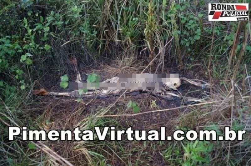 Crianças encontram ossada de jovem ao ir buscar bola no mato em Pimenta Bueno Crianças encontram ossada de jovem ao ir buscar bola no mato em Pimenta Bueno