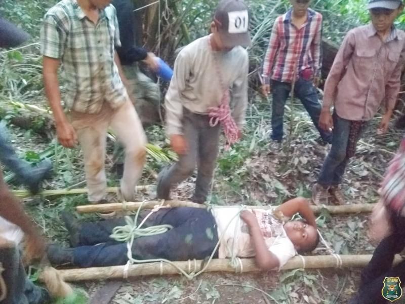 Alunos da Polícia Mirim de Alto Alegre e Alta Floresta participam de instruções em ambiente de selva Alunos da Polícia Mirim de Alto Alegre e Alta Floresta participam de instruções em ambiente de selva