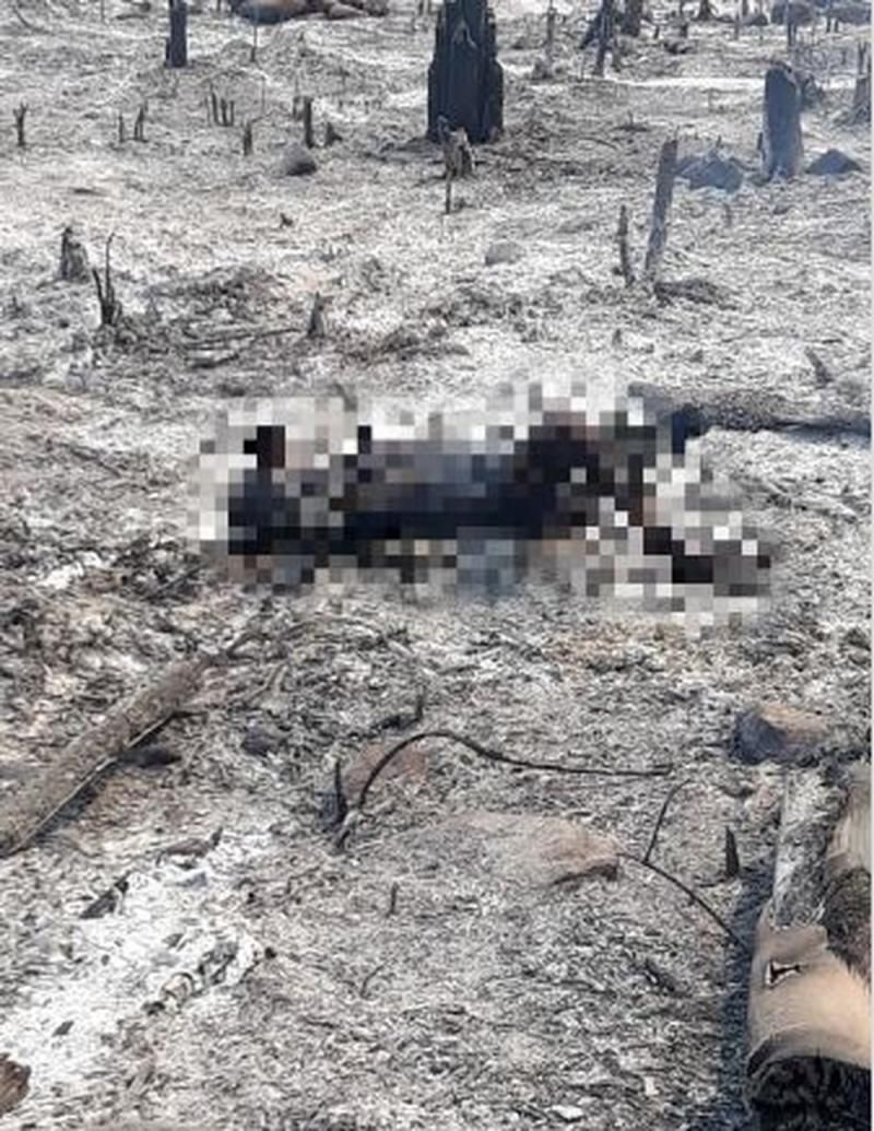 Corpo carbonizado é achado em área desmatada, em Ariquemes Corpo carbonizado é achado em área desmatada, em Ariquemes