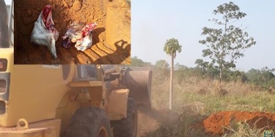 Nota da Polícia Militar sobre boatos em rede social a respeito do destino da carne de gado apreendida no último final de semana Nota da Polícia Militar sobre boatos em rede social a respeito do destino da carne de gado apreendida no último final de semana