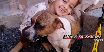 Procura-se por uma cachorrinha desaparecida no último sábado (14) Procura-se por uma cachorrinha desaparecida no último sábado (14)