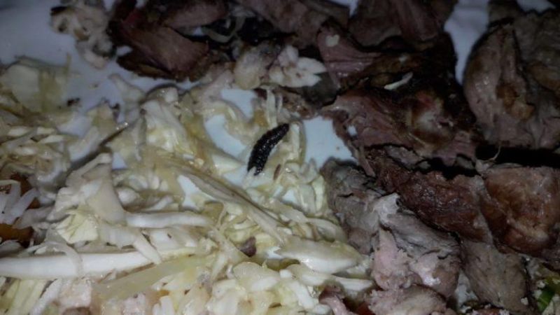 Comida estragada e com larva, servida em festa de 15 anos, vira caso de polícia, em Jaru Comida estragada e com larva, servida em festa de 15 anos, vira caso de polícia, em Jaru