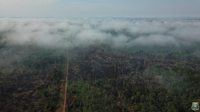 Operação de Reintegração de Posse é realizada em Assentamentos na área de Nova Brasilândia/RO Operação de Reintegração de Posse é realizada em Assentamentos na área de Nova Brasilândia/RO