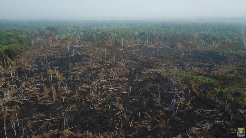 Operação de Reintegração de Posse é realizada em Assentamentos na área de Nova Brasilândia/RO Operação de Reintegração de Posse é realizada em Assentamentos na área de Nova Brasilândia/RO
