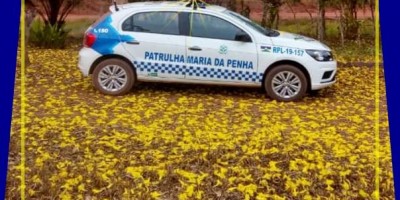 Patrulha Maria da Penha do 10º Batalhão divulga dados de perfil de mulheres vítimas de violência doméstica Patrulha Maria da Penha do 10º Batalhão divulga dados de perfil de mulheres vítimas de violência doméstica