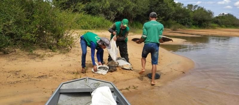 Quase 700 kg de peixes são apreendidos pela Polícia Ambiental em RO Quase 700 kg de peixes são apreendidos pela Polícia Ambiental em RO