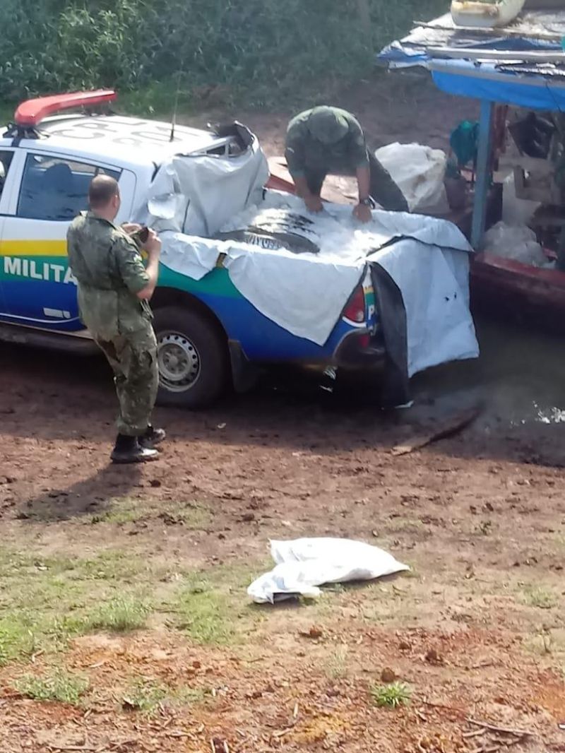 Quase 700 kg de peixes são apreendidos pela Polícia Ambiental em RO Quase 700 kg de peixes são apreendidos pela Polícia Ambiental em RO