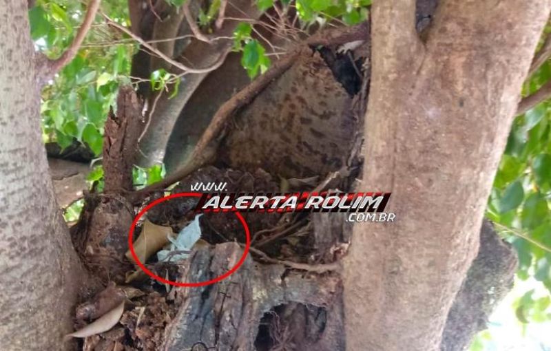 Rolim de Moura – 03 suspeitos de tráfico de drogas são presos em flagrante no Centro da cidade pela Polícia Militar Rolim de Moura – 03 suspeitos de tráfico de drogas são presos em flagrante no Centro da cidade pela Polícia Militar