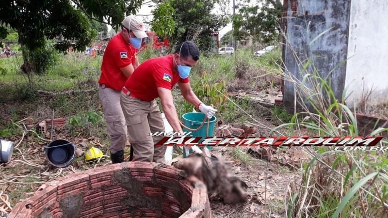Rolim de Moura – URGENTE – Após denúncia de mau cheiro, corpo é encontrado dentro de poço no Bairro Olímpico Rolim de Moura – URGENTE – Após denúncia de mau cheiro, corpo é encontrado dentro de poço no Bairro Olímpico