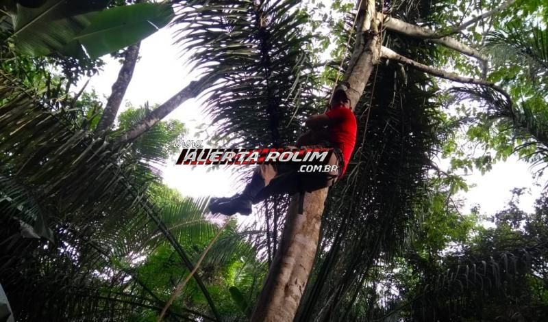 10º Batalhão em Rolim de Moura realiza acampamento de selva com alunos do Programa Social Polícia Mirim 10º Batalhão em Rolim de Moura realiza acampamento de selva com alunos do Programa Social Polícia Mirim