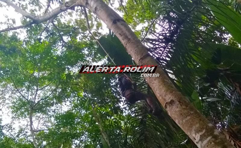 10º Batalhão em Rolim de Moura realiza acampamento de selva com alunos do Programa Social Polícia Mirim 10º Batalhão em Rolim de Moura realiza acampamento de selva com alunos do Programa Social Polícia Mirim