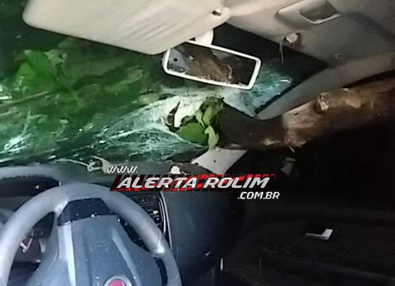 Nova Brasilândia – Durante acidente na RO-010, galho de árvore atravessa para-brisa de carro e atinge condutor