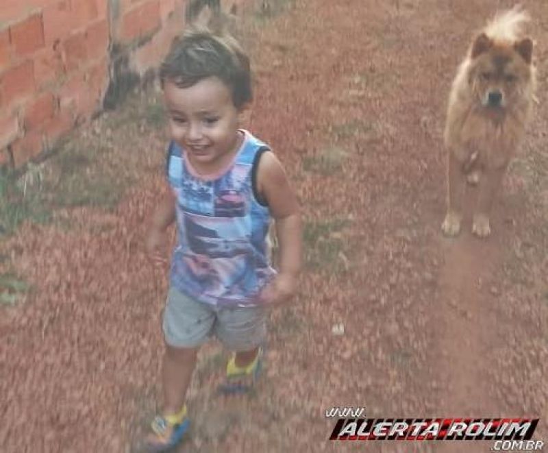 Rolim de Moura – Procura-se por cachorro da raça Chow Chow, que desapareceu no centro da cidade Rolim de Moura – Procura-se por cachorro da raça Chow Chow, que desapareceu no centro da cidade