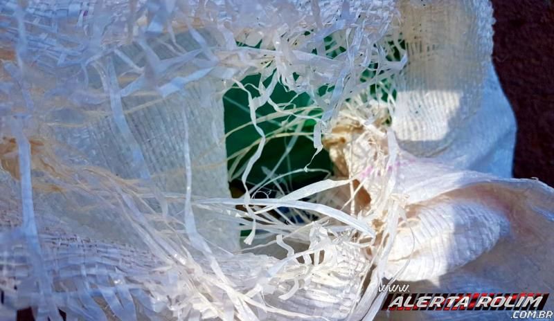 16 kg de drogas são apreendidos pela PM em Cacoal, com condutor de Moto Aplicativo 16 kg de drogas são apreendidos pela PM em Cacoal, com condutor de Moto Aplicativo
