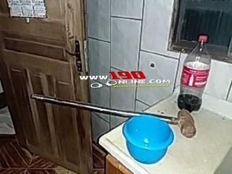 Criminosos levam R$150.000,00 em dinheiro vivo de propriedade rural, em Alta Floresta Criminosos levam R$150.000,00 em dinheiro vivo de propriedade rural, em Alta Floresta
