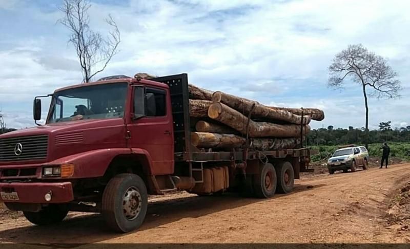 Durante Operação Paz no Campo, cinco armas de fogo foram apreendidas pela PM, na Região de Pimenta Bueno Durante Operação Paz no Campo, cinco armas de fogo foram apreendidas pela PM, na Região de Pimenta Bueno