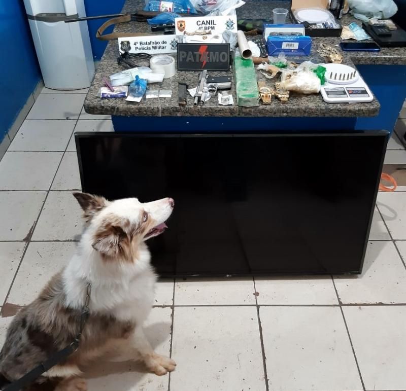 Cacoal - Traficante e foragido da Justiça são presos pela PM mediante ação integrada com a PC com mais de 01 kg de drogas, arma de fogo e vários produtos de origem duvidosa Cacoal - Traficante e foragido da Justiça são presos pela PM mediante ação integrada com a PC com mais de 01 kg de drogas, arma de fogo e vários produtos de origem duvidosa