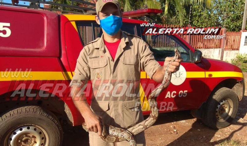 Bombeiros capturam Jiboia em quintal de residência no Bairro Cidade Alta, em Rolim de Moura  Bombeiros capturam Jiboia em quintal de residência no Bairro Cidade Alta, em Rolim de Moura