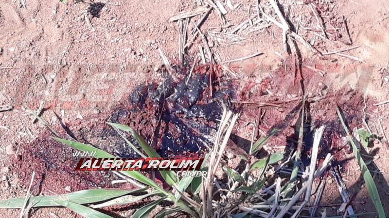 Adolescente sofre grave ferimento na cabeça após ser atingido por carro no Jardim dos Lagos, em Rolim de Moura Adolescente sofre grave ferimento na cabeça após ser atingido por carro no Jardim dos Lagos, em Rolim de Moura