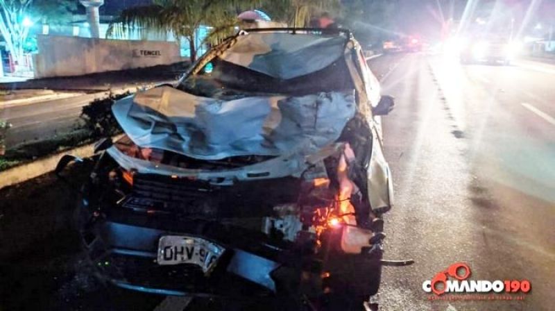 Motorista atropela dois cavalos que estavam soltos na BR-364, em Ji-Paraná Motorista atropela dois cavalos que estavam soltos na BR-364, em Ji-Paraná