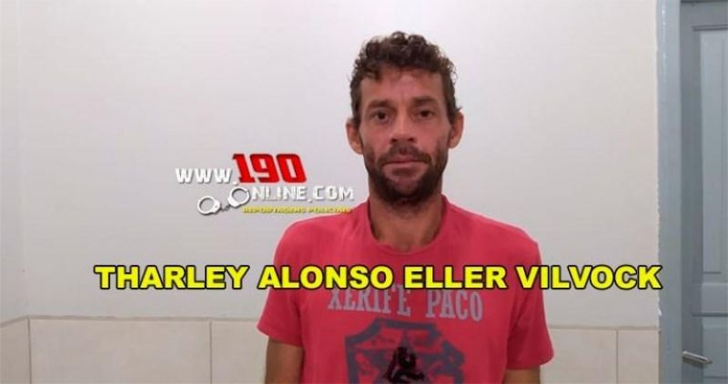 Porco é abatido e furtado de propriedade rural, em Alta Floresta; um suspeito foi preso Porco é abatido e furtado de propriedade rural, em Alta Floresta; um suspeito foi preso