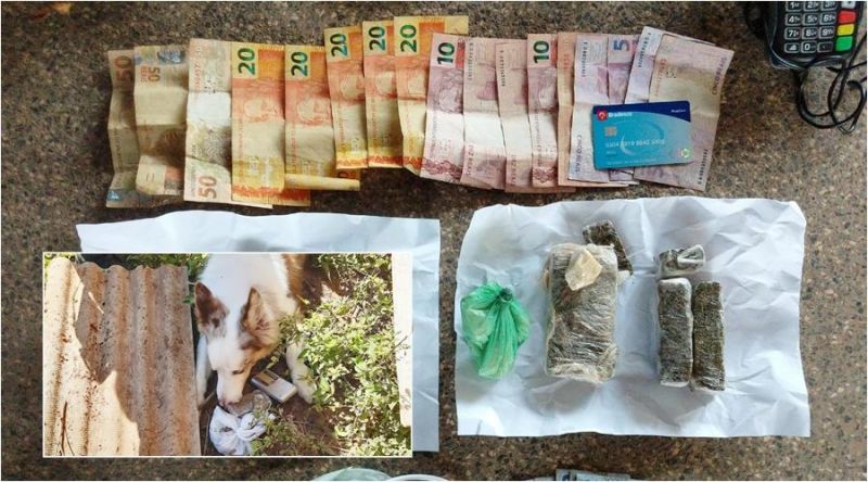 PMRO no combate ao tráfico de drogas, em Cacoal