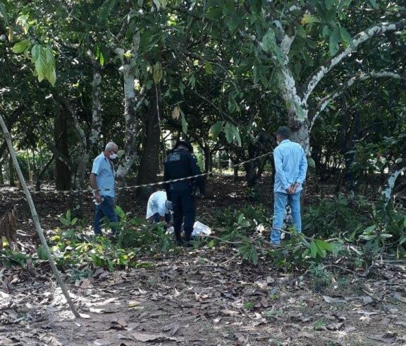 Idoso de 65 anos, morre ao cair de pé de cacau na zona rural de Gov. Jorge Teixeira Idoso de 65 anos, morre ao cair de pé de cacau na zona rural de Gov. Jorge Teixeira