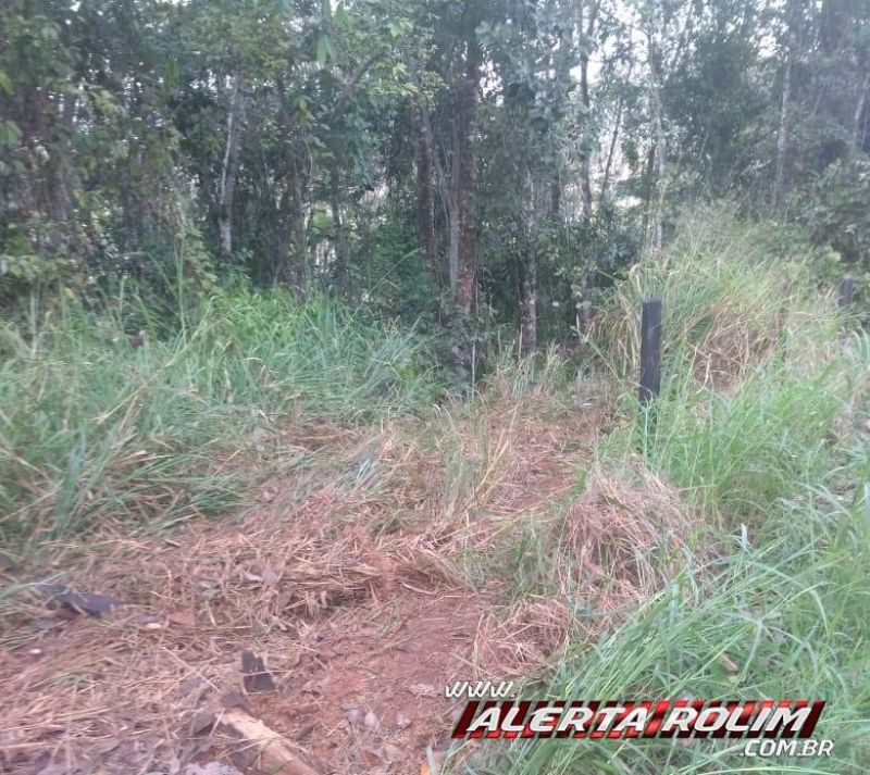 Motorista de caminhão morre após sofrer acidente na RO-481, em Nova Brasilândia Motorista de caminhão morre após sofrer acidente na RO-481, em Nova Brasilândia