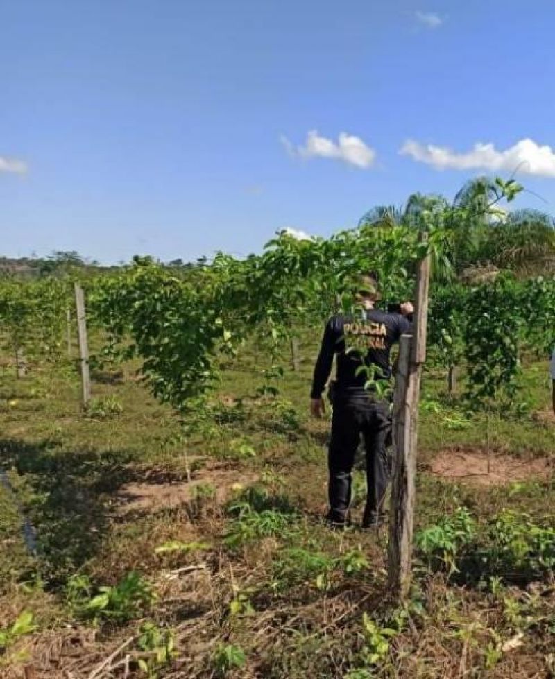 PF resgata venezuelanos em situação de trabalho escravo em RO; criança e mulher grávida estavam há meses sem receber PF resgata venezuelanos em situação de trabalho escravo em RO; criança e mulher grávida estavam há meses sem receber