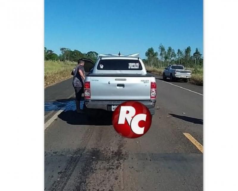 Animal cruza a pista e causa acidente com caminhonete na BR 429 em São Miguel do Guaporé. Animal cruza a pista e causa acidente com caminhonete na BR 429 em São Miguel do Guaporé.