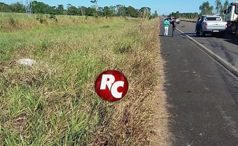 Animal cruza a pista e causa acidente com caminhonete na BR 429 em São Miguel do Guaporé. Animal cruza a pista e causa acidente com caminhonete na BR 429 em São Miguel do Guaporé.