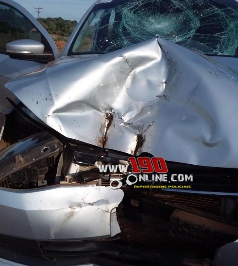 Jovem sofre fratura de braço e perna após colisão frontal entre moto e carro na RO-383, em Alta Floresta Jovem sofre fratura de braço e perna após colisão frontal entre moto e carro na RO-383, em Alta Floresta