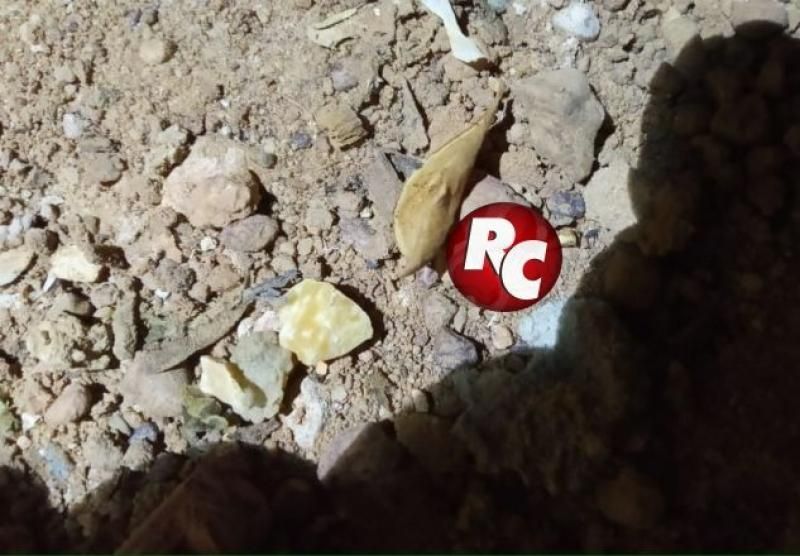Polícia Civil e Polícia Militar apreendem drogas durante cumprimento de busca e apreensão em São Miguel do Guaporé Polícia Civil e Polícia Militar apreendem drogas durante cumprimento de busca e apreensão em São Miguel do Guaporé
