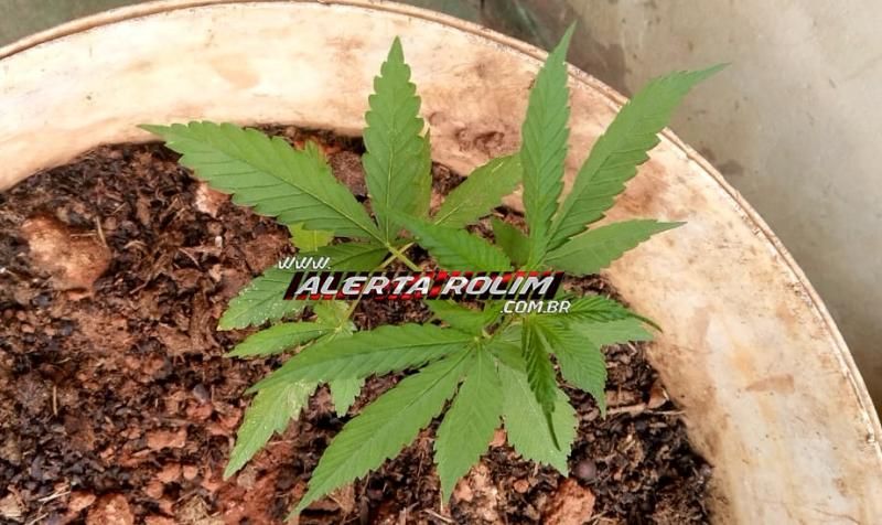 Após roubo à mão armada em comércio, PM age rápido e apreende autor do crime e recupera produtos roubados Após roubo à mão armada em comércio, PM age rápido e apreende autor do crime e recupera produtos roubados