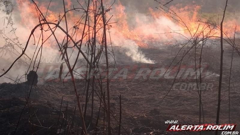 Incêndio em vegetação leva mais de uma hora para ser contido pelos Bombeiros Militares em Rolim de Moura Incêndio em vegetação leva mais de uma hora para ser contido pelos Bombeiros Militares em Rolim de Moura