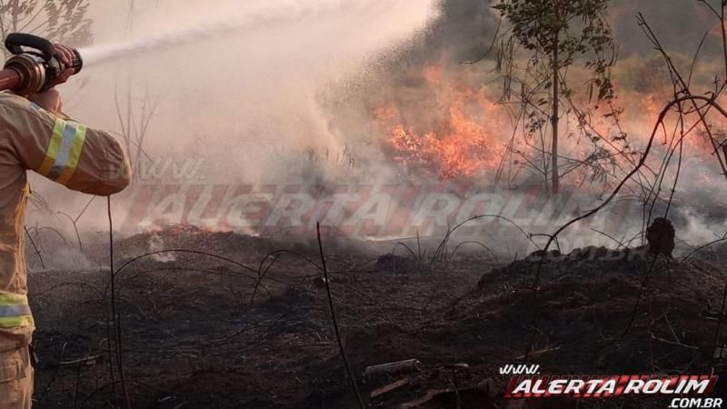 Incêndio em vegetação leva mais de uma hora para ser contido pelos Bombeiros Militares em Rolim de Moura Incêndio em vegetação leva mais de uma hora para ser contido pelos Bombeiros Militares em Rolim de Moura
