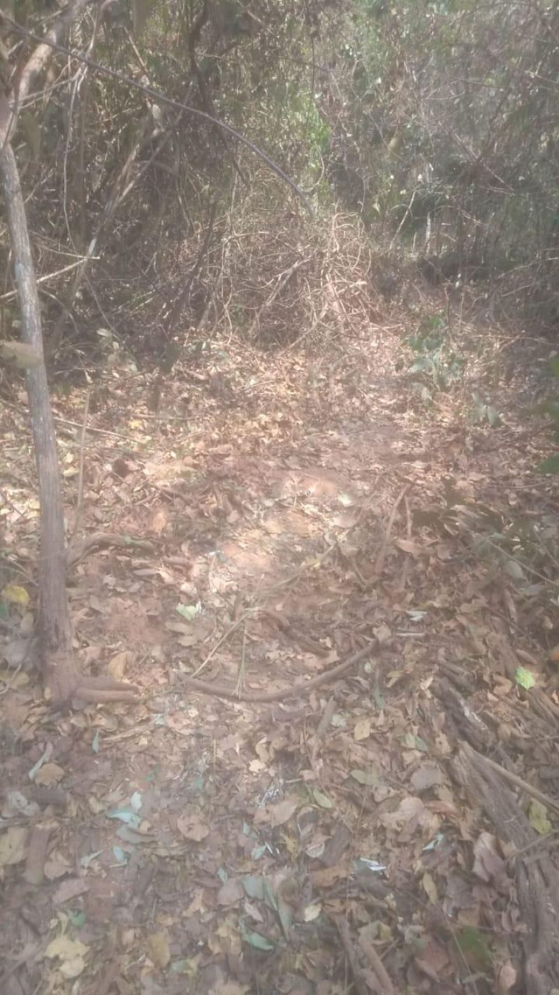 Motorista morre após caminhão cair em ribanceira na linha P-40, em Alto Alegre dos Parecis Motorista morre após caminhão cair em ribanceira na linha P-40, em Alto Alegre dos Parecis