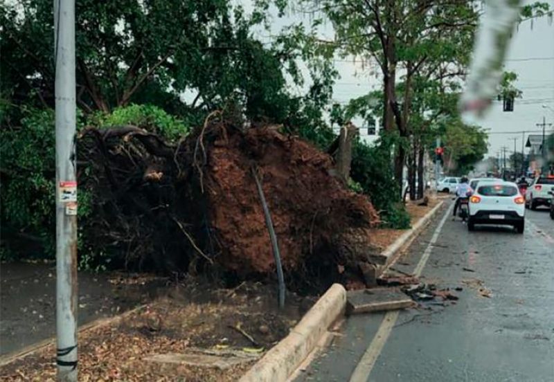 Frente fria provoca temporal e deixa rastro de destruição em Porto Velho Frente fria provoca temporal e deixa rastro de destruição em Porto Velho