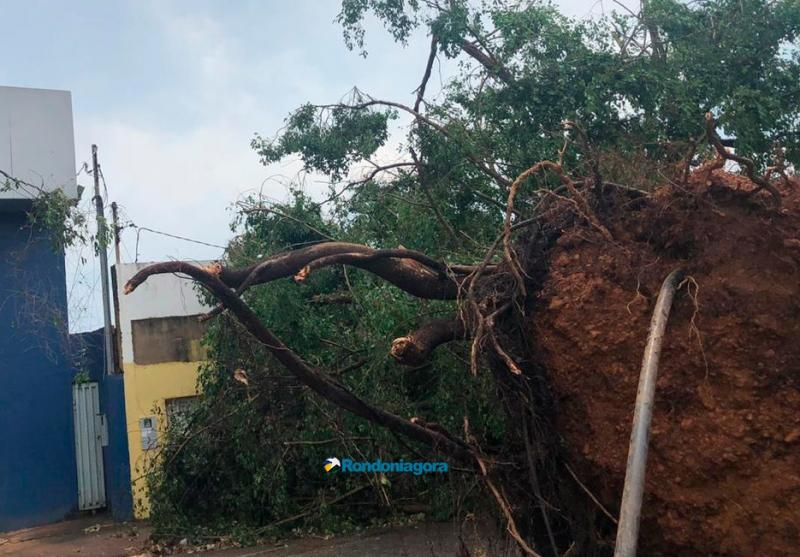 Frente fria provoca temporal e deixa rastro de destruição em Porto Velho Frente fria provoca temporal e deixa rastro de destruição em Porto Velho