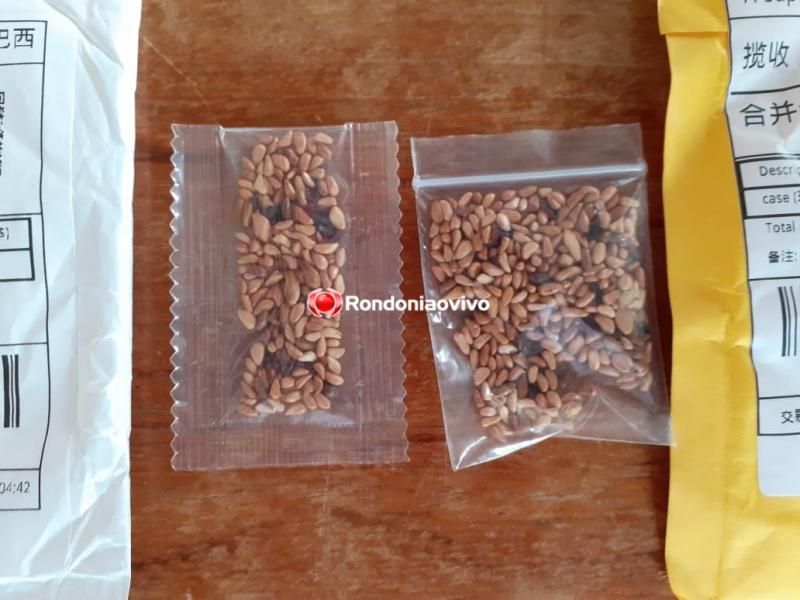 ALERTA: Sementes misteriosas da China chegam à Rondônia ALERTA: Sementes misteriosas da China chegam à Rondônia