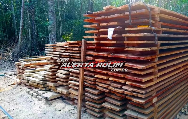 Armas de fogo, munições, tratores e madeiras são apreendidas pela PM, durante Operação Hórus