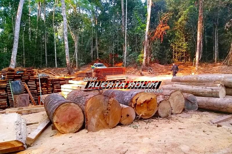 Armas de fogo, munições, tratores e madeiras são apreendidas pela PM, durante Operação Hórus